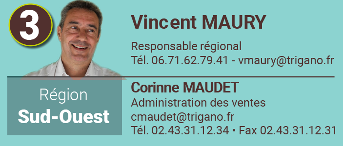 3-vincent.png