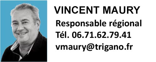 Vincent